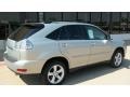 Bamboo Pearl - RX 350 AWD Photo No. 7