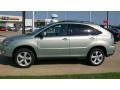 Bamboo Pearl - RX 350 AWD Photo No. 10