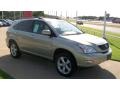Bamboo Pearl - RX 350 AWD Photo No. 11