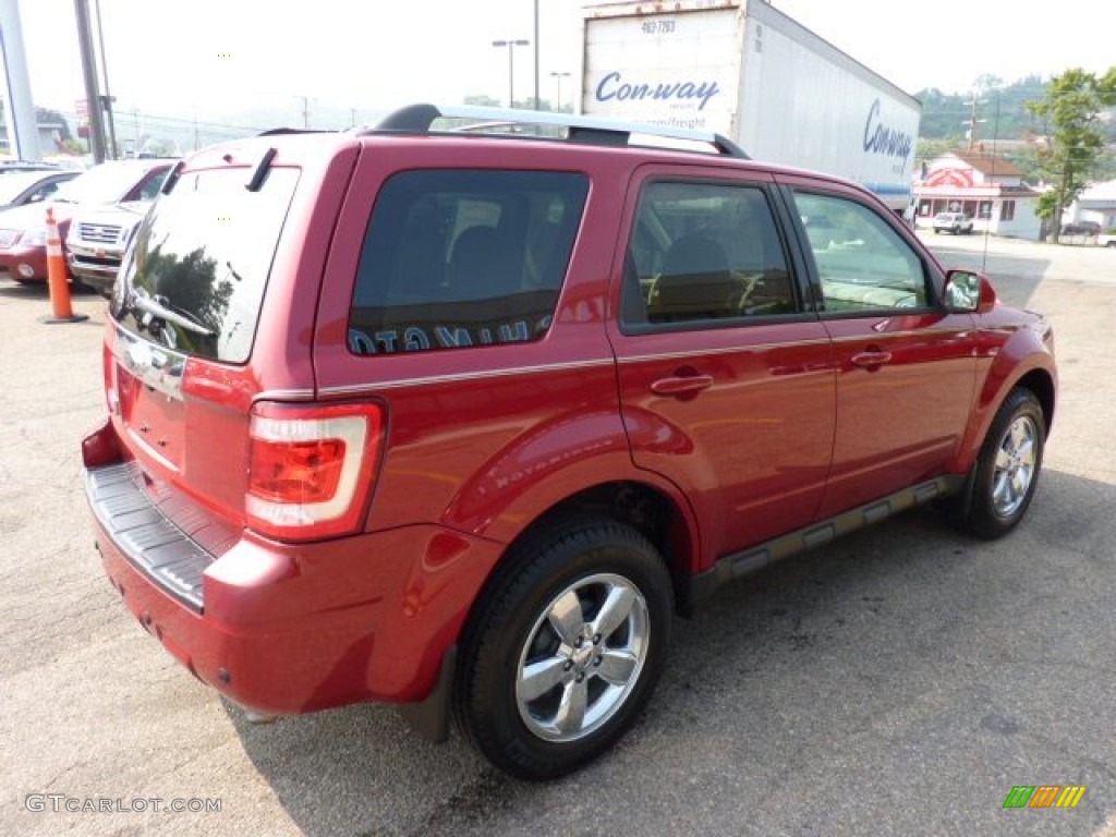 2010 Escape Limited 4WD - Sangria Red Metallic / Camel photo #4