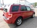 2010 Sangria Red Metallic Ford Escape Limited 4WD  photo #4