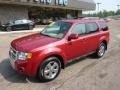 2010 Sangria Red Metallic Ford Escape Limited 4WD  photo #8