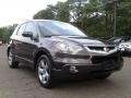 Polished Metal Metallic - RDX SH-AWD Technology Photo No. 4
