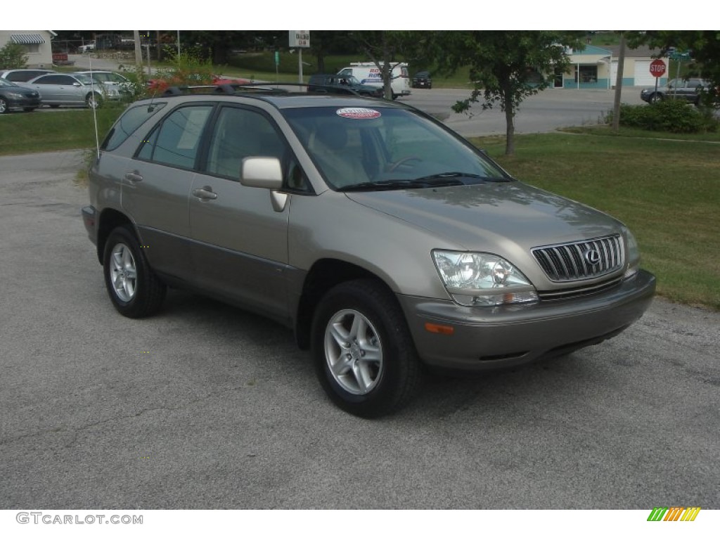 2001 RX 300 AWD - Burnished Gold Metallic / Ivory photo #1