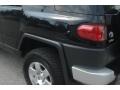 Black Diamond - FJ Cruiser 4WD Photo No. 34