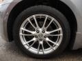 Platinum Graphite Gray - G 35 x S Sedan Photo No. 10