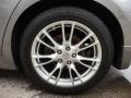 Platinum Graphite Gray - G 35 x S Sedan Photo No. 11