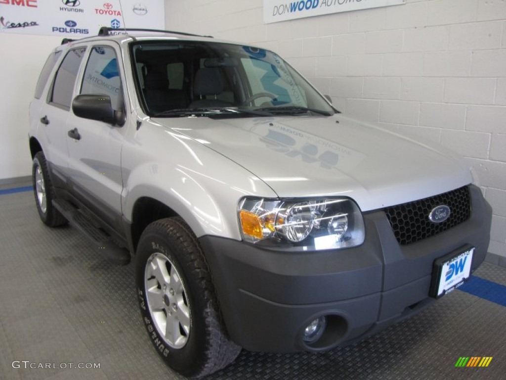 Silver Metallic Ford Escape