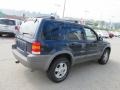 2002 True Blue Metallic Ford Escape XLT V6 4WD  photo #8