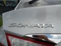 Radiant Silver - Sonata GLS Photo No. 15
