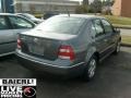 2004 Platinum Grey Metallic Volkswagen Jetta GLS Sedan  photo #2