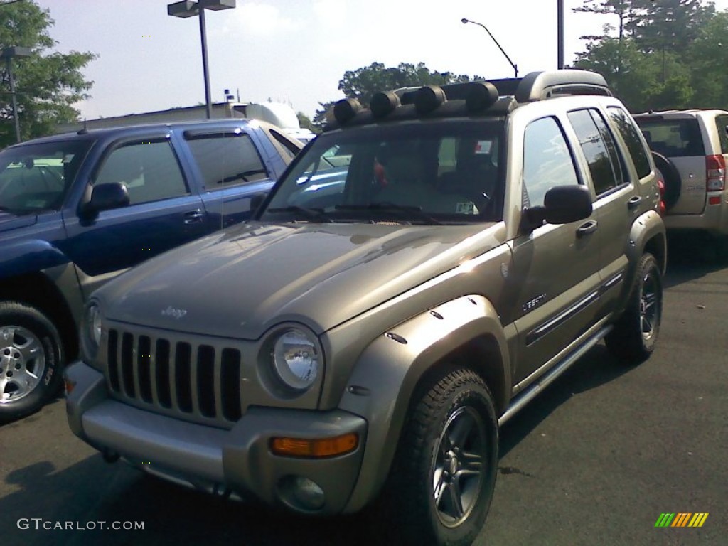 Light Khaki Metallic 2004 Jeep Liberty Renegade 4x4 Exterior Photo #51950975