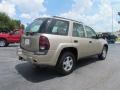 2005 Sandstone Metallic Chevrolet TrailBlazer LS  photo #7