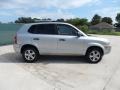 Platinum Metallic - Tucson GLS Photo No. 2