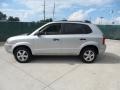 Platinum Metallic - Tucson GLS Photo No. 6