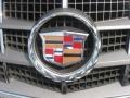 2008 Cadillac STS V6 Badge and Logo Photo