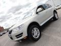 Reflex Silver Metallic - Touareg 2 VR6 Photo No. 2