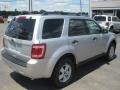 Ingot Silver Metallic 2011 Ford Escape Limited 4WD Exterior