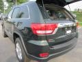 2011 Natural Green Pearl Jeep Grand Cherokee Laredo X Package  photo #8