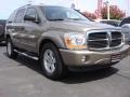 2006 Light Khaki Metallic Dodge Durango Limited HEMI 4x4  photo #1