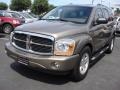 2006 Light Khaki Metallic Dodge Durango Limited HEMI 4x4  photo #9