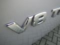 Radiant Silver - Titan XE Crew Cab Photo No. 10