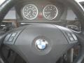 Titanium Silver Metallic - 5 Series 530xi Sedan Photo No. 28