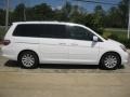 Taffeta White - Odyssey Touring Photo No. 3