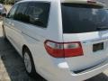Taffeta White - Odyssey Touring Photo No. 8