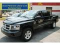 Brilliant Black Crystal Pearl - Dakota Big Horn Crew Cab 4x4 Photo No. 1