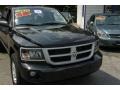 Brilliant Black Crystal Pearl - Dakota Big Horn Crew Cab 4x4 Photo No. 2