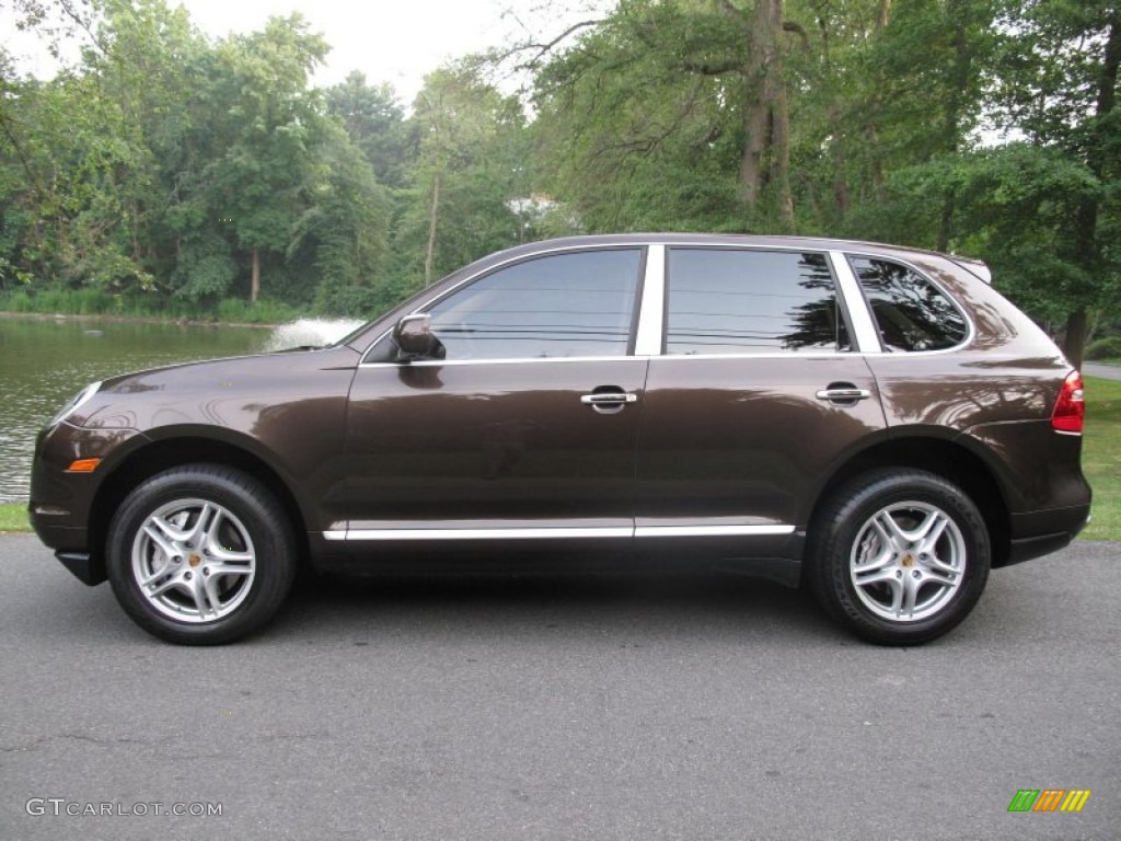 Macadamia Metallic 2009 Porsche Cayenne S Exterior Photo #52001829
