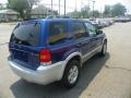 Vista Blue Metallic - Escape Hybrid 4WD Photo No. 9