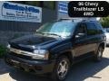 Black - TrailBlazer LS 4x4 Photo No. 1