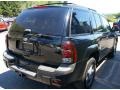Black - TrailBlazer LS 4x4 Photo No. 15