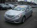 Radiant Silver - Sonata GLS Photo No. 7