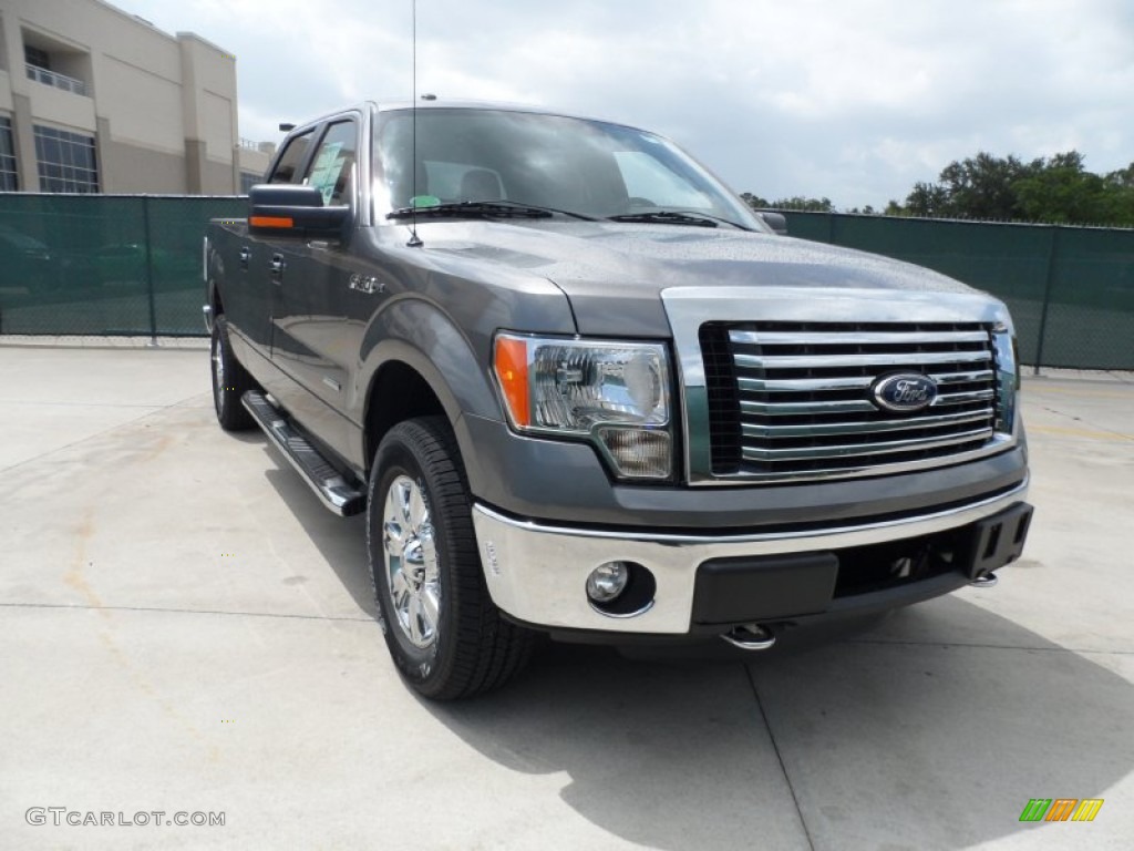 2011 F150 Texas Edition SuperCrew 4x4 - Sterling Grey Metallic / Steel Gray photo #1