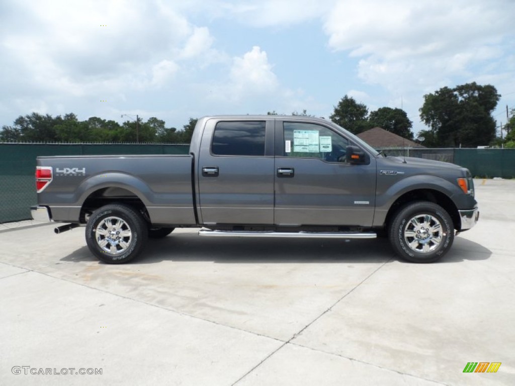 2011 F150 Texas Edition SuperCrew 4x4 - Sterling Grey Metallic / Steel Gray photo #2