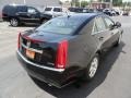 Black Raven - CTS Sedan Photo No. 6