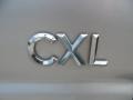 2006 Buick Terraza CXL Badge and Logo Photo