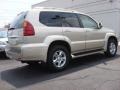 2006 Savannah Beige Metallic Lexus GX 470  photo #4