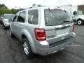 2012 Ingot Silver Metallic Ford Escape Limited V6 4WD  photo #4