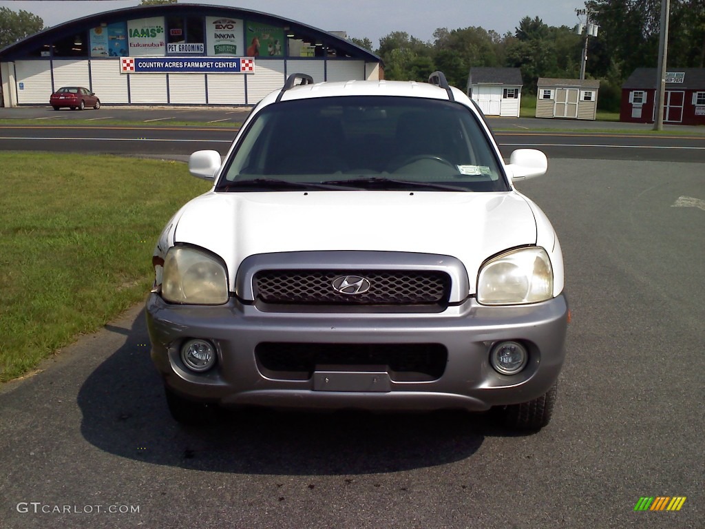 2003 Santa Fe GLS - Nordic White / Gray photo #2