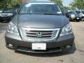Nimbus Gray Metallic - Odyssey Touring Photo No. 5