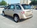 2008 Sandstone Metallic Chevrolet Equinox LS AWD  photo #2