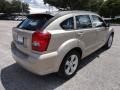 Light Sandstone Metallic - Caliber SXT Photo No. 11