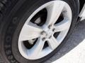 Stone White - Caliber SXT Photo No. 21