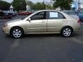 2009 Sand Beige Metallic Kia Spectra EX Sedan  photo #9