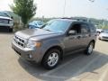 2011 Sterling Grey Metallic Ford Escape XLT 4WD  photo #5