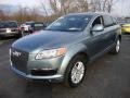 2007 Sycamore Green Metallic Audi Q7 4.2 quattro #52039445